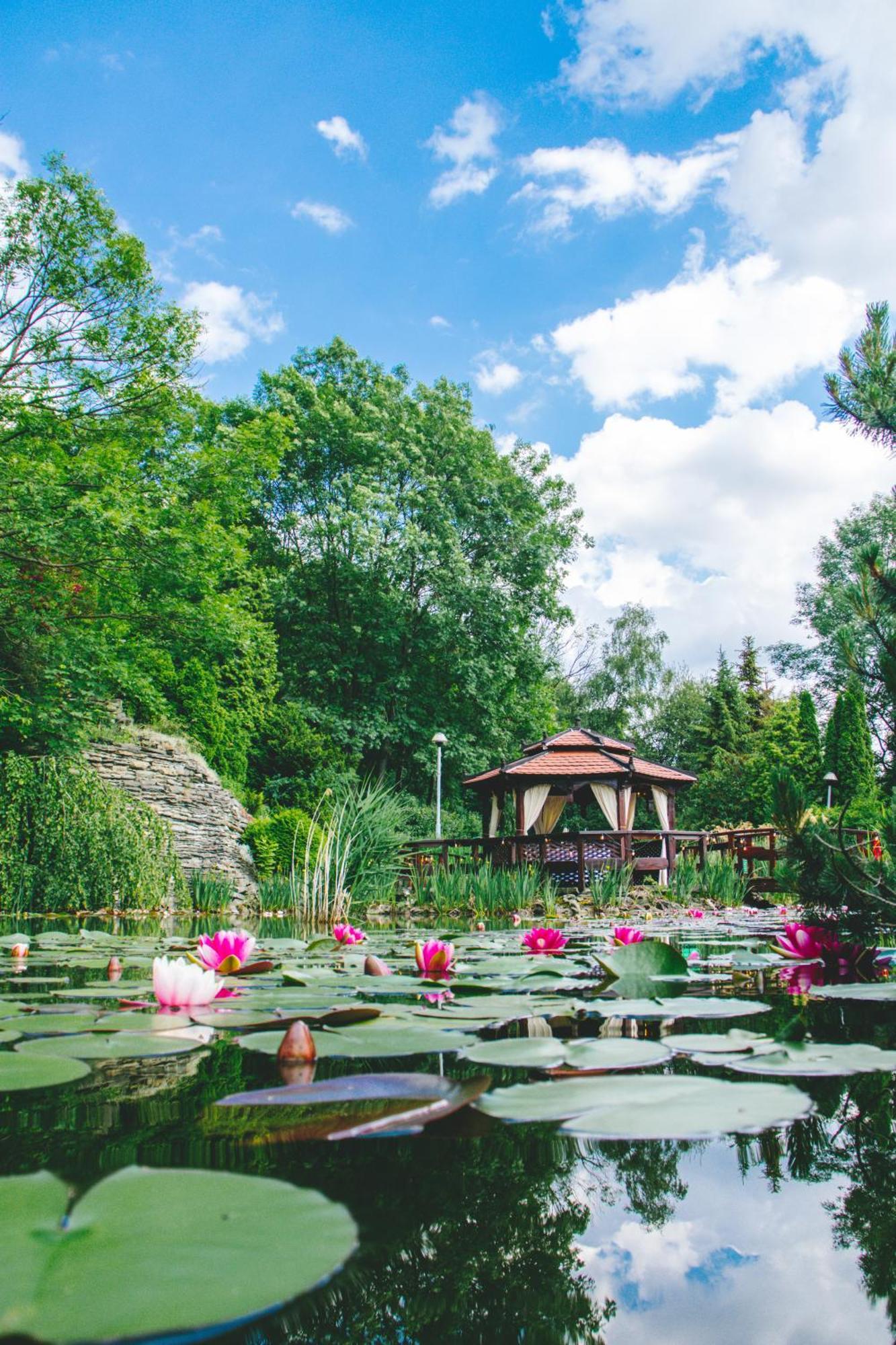 Hotel Belweder Ustroń Esterno foto The Lotus Pond